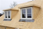 Kingspantek5354 Medium 